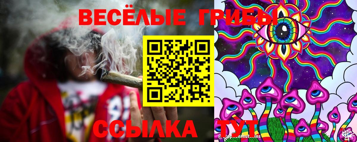 Галлюциногенные грибы Psilocybine cubensis Магнитогорск