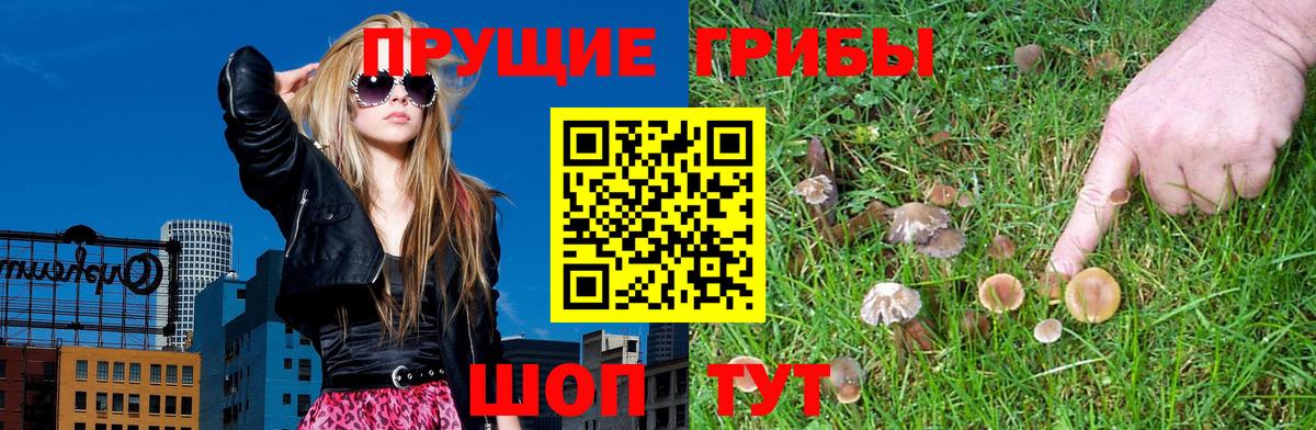 Галлюциногенные грибы Psilocybe  Вход с VPN  наркошоп  Магнитогорск  Псилоцибиновые грибы мицелий 